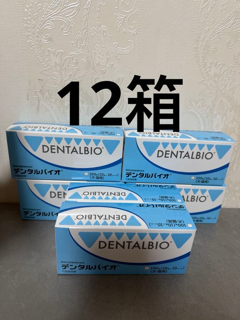 共立製薬 デンタルバイオ 10粒×10シート 12箱