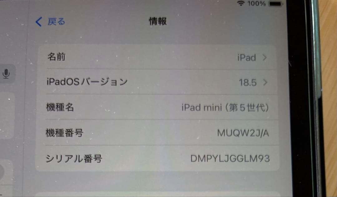 iPadmini 7.9インチ スペースグレー 充電器付き