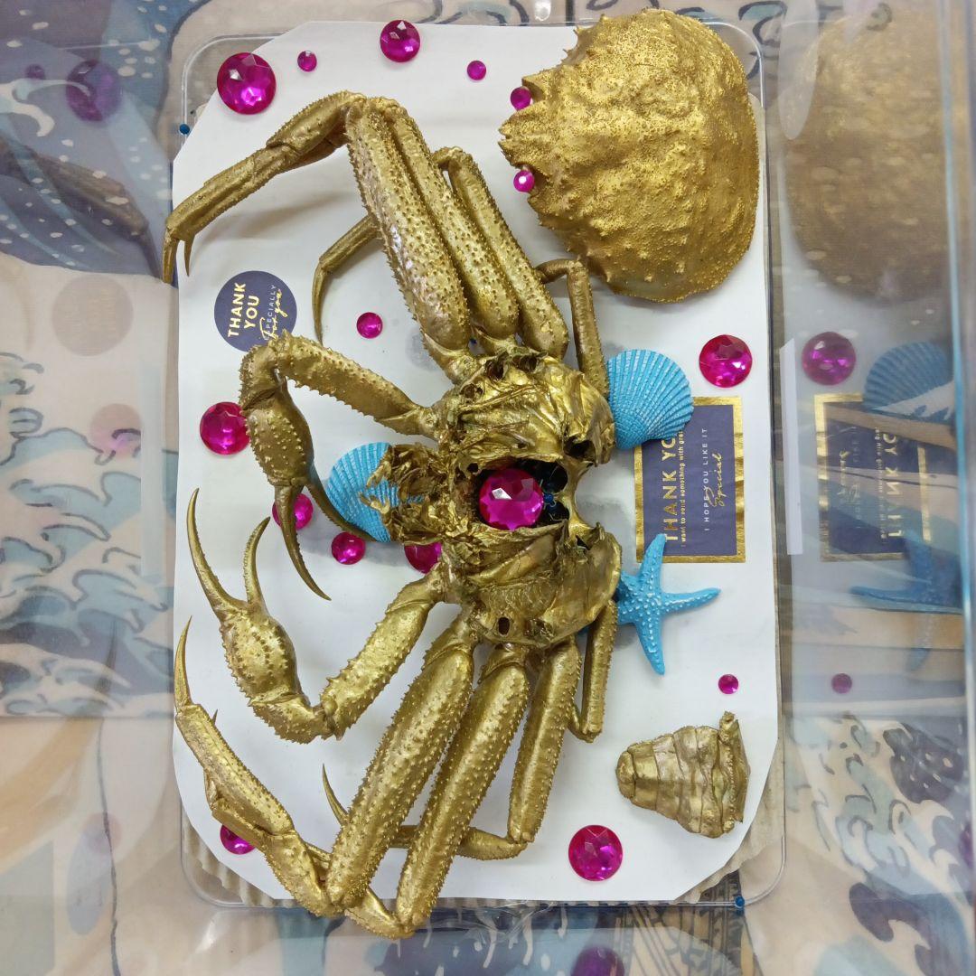 松葉蟹[セコガニ］ゴールドカラーオリジナル全長２３センチ立体リアル標本飾り置物