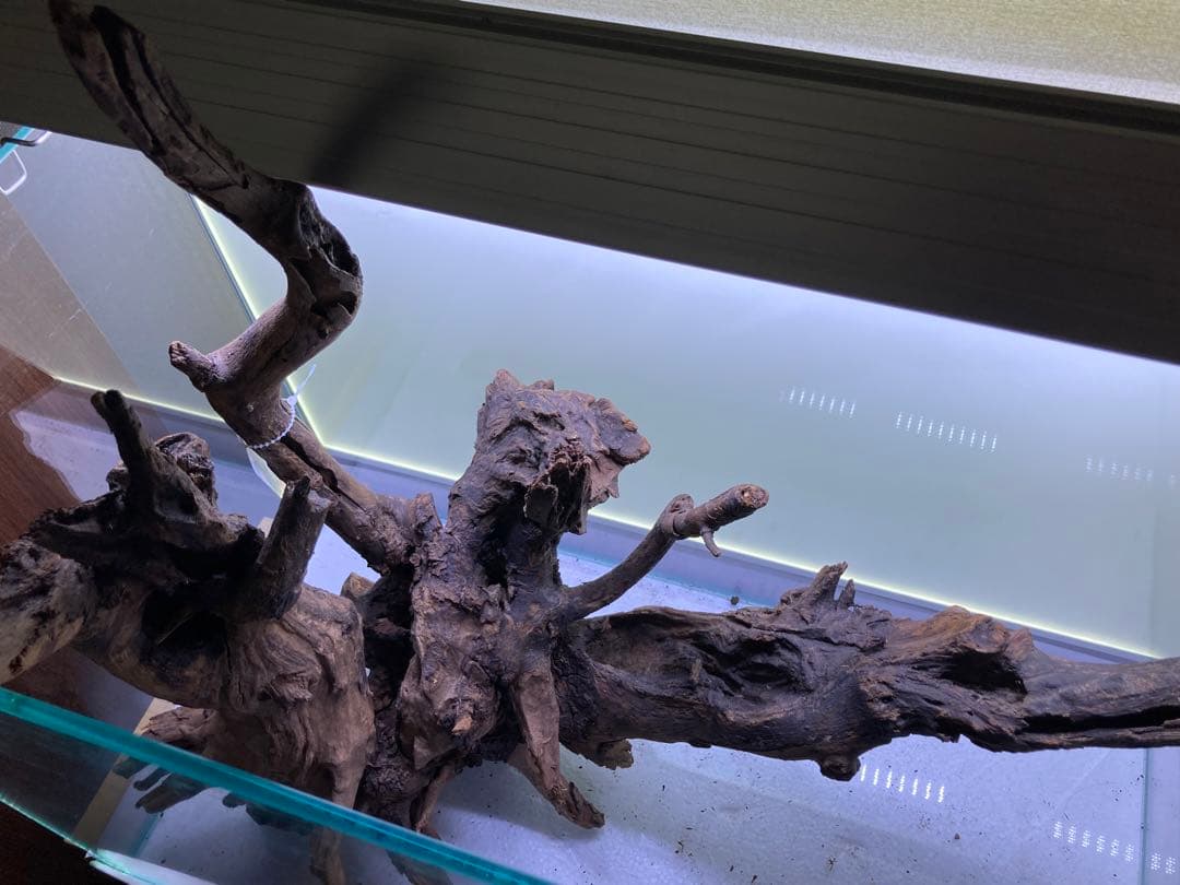 【流木】リベラ　ウッドサージXL