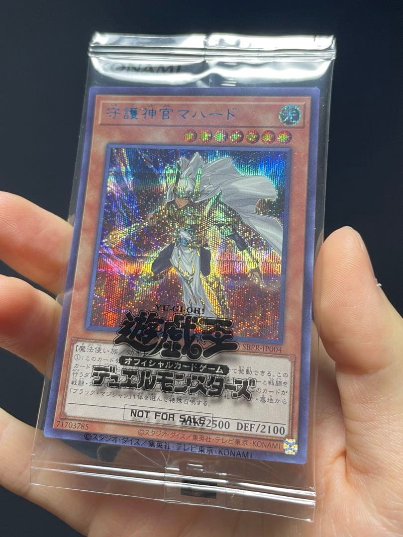 守護神官マハード ブルシク ブルーシークレット 未開封 当選書・輸送箱付き