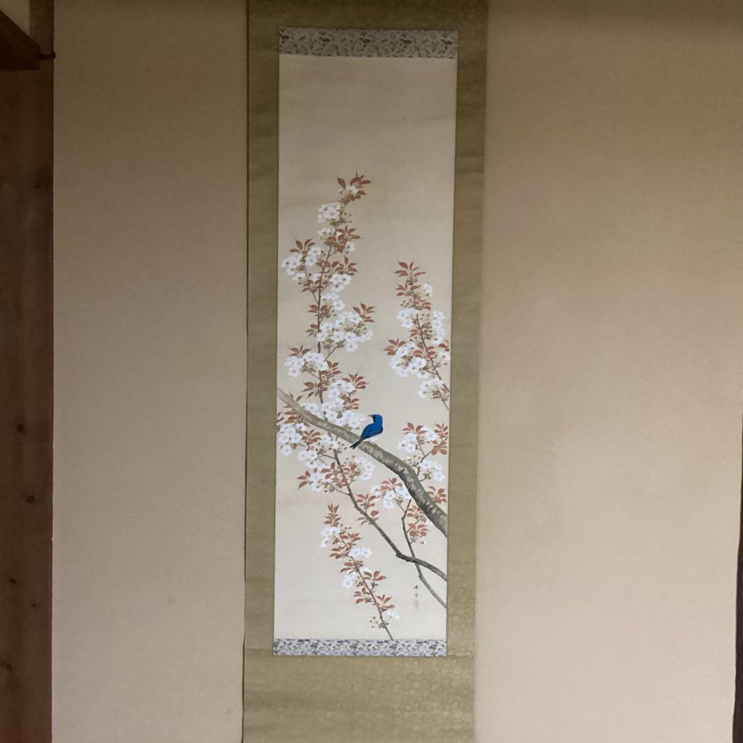 O-6 桜花の図　尚文　　桜と青い鳥の掛軸