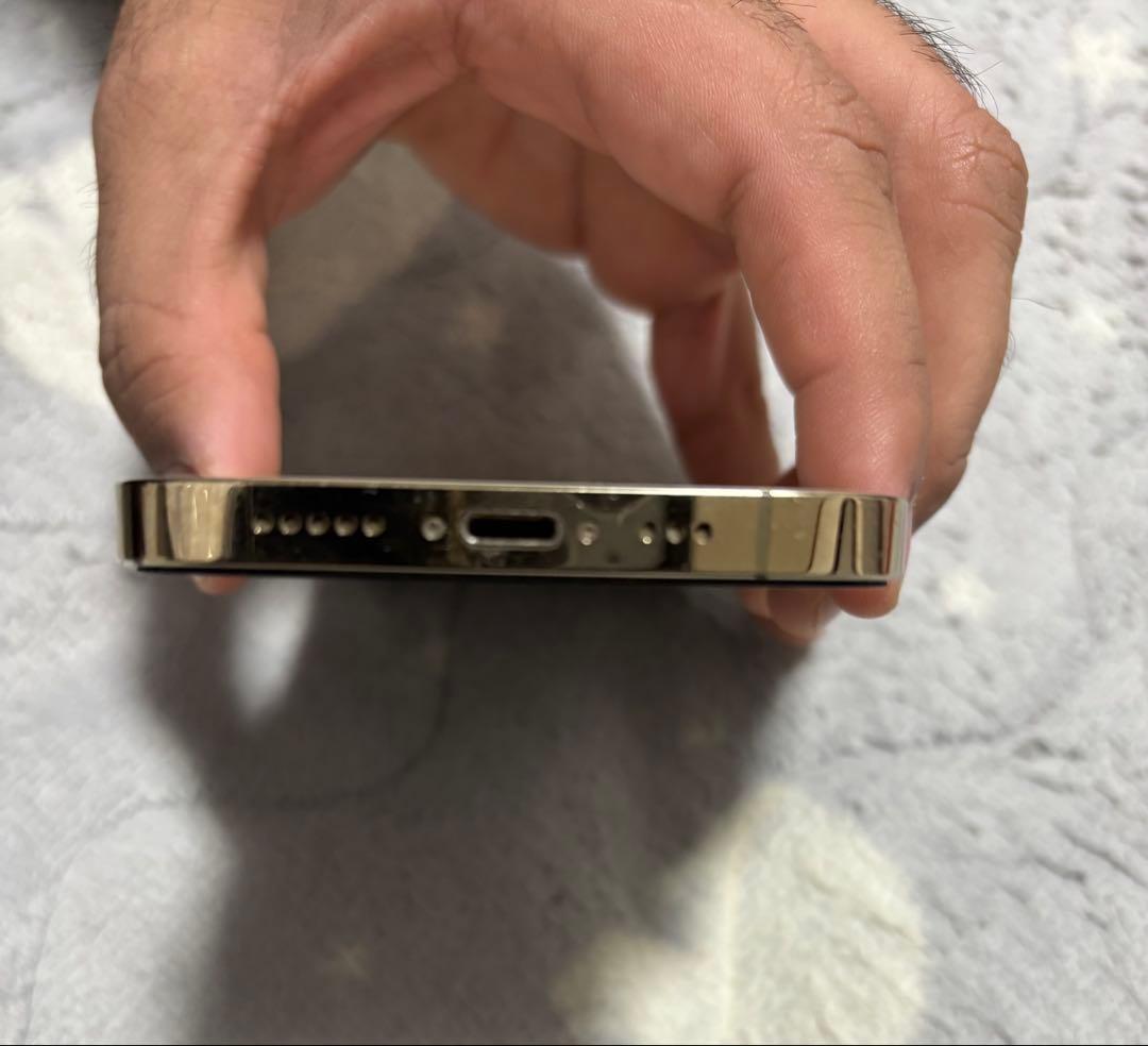 Apple iPhone 12 Pro シルバー 本体 256 Gb