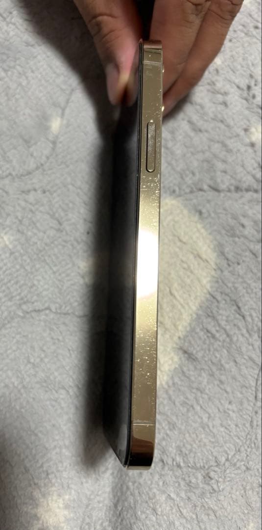 Apple iPhone 12 Pro シルバー 本体 256 Gb