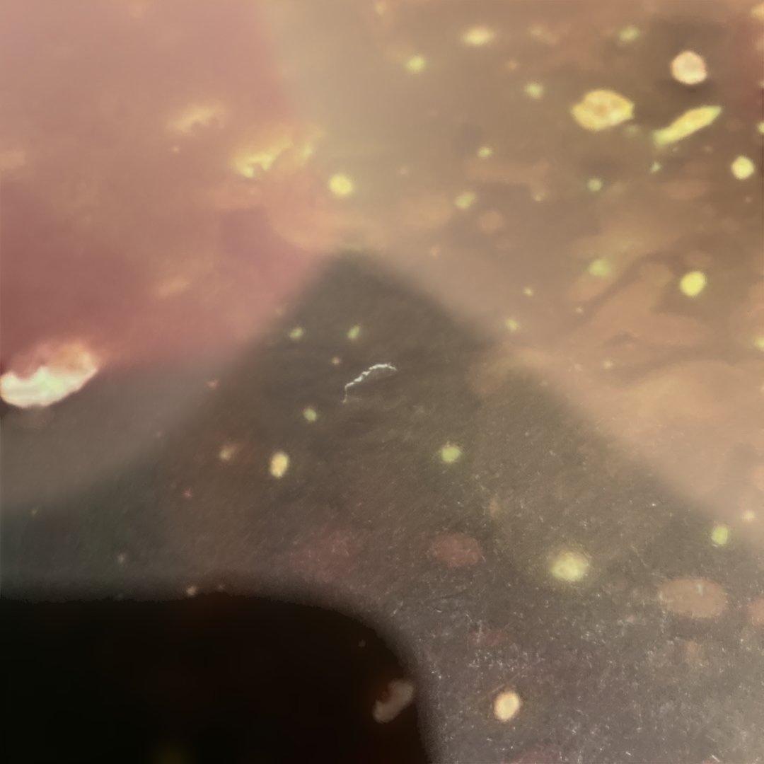 希少 Radiohead 2008ライブツアー限定ポスター