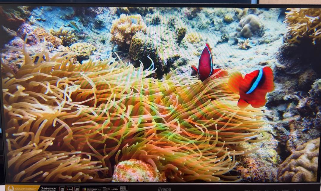 iiyama GB2590HSU-B5A 24.5インチ 240Hz フルHD