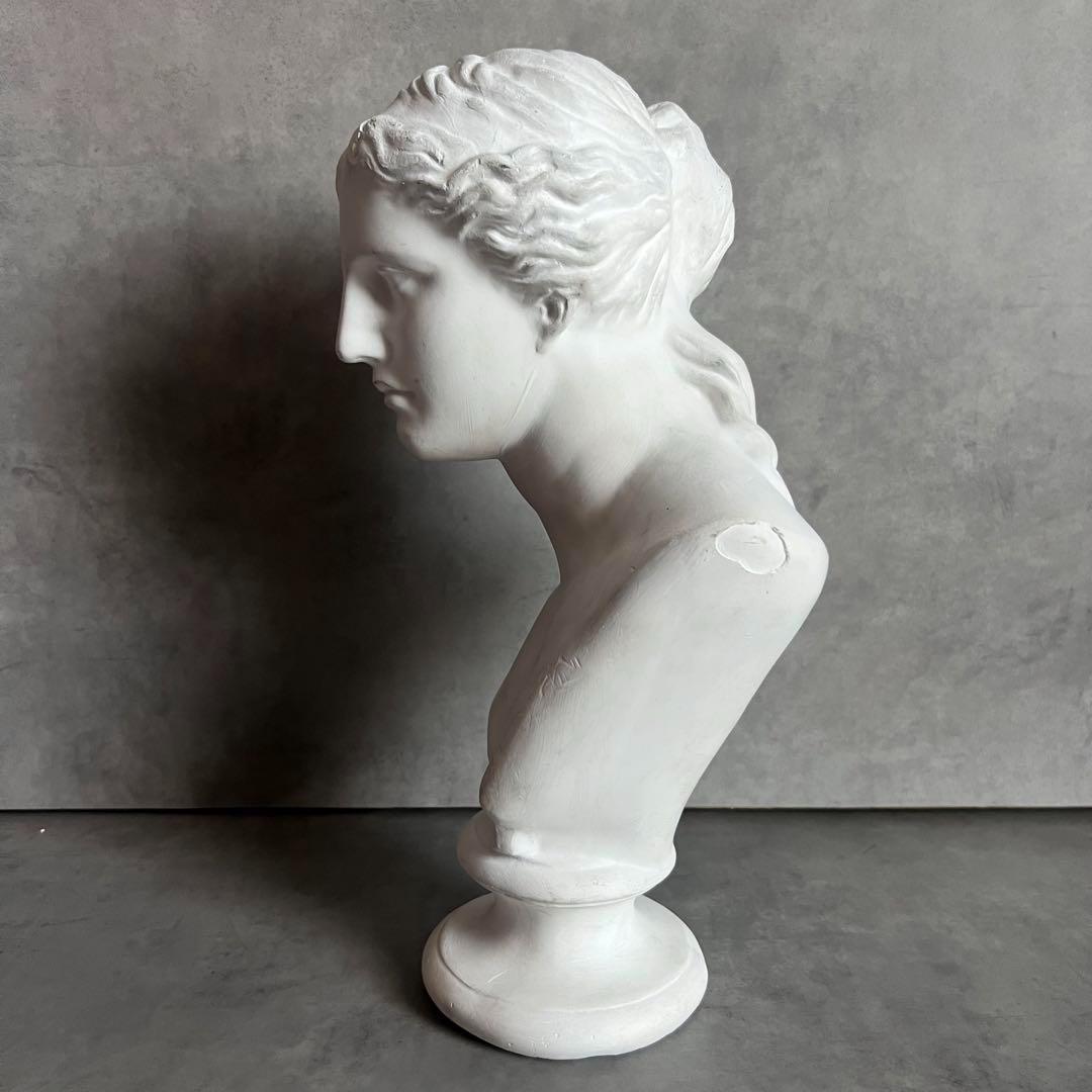 希少 ミロのヴィーナス 石膏 胸像 デッサン アート 彫刻 美術 芸術 アート