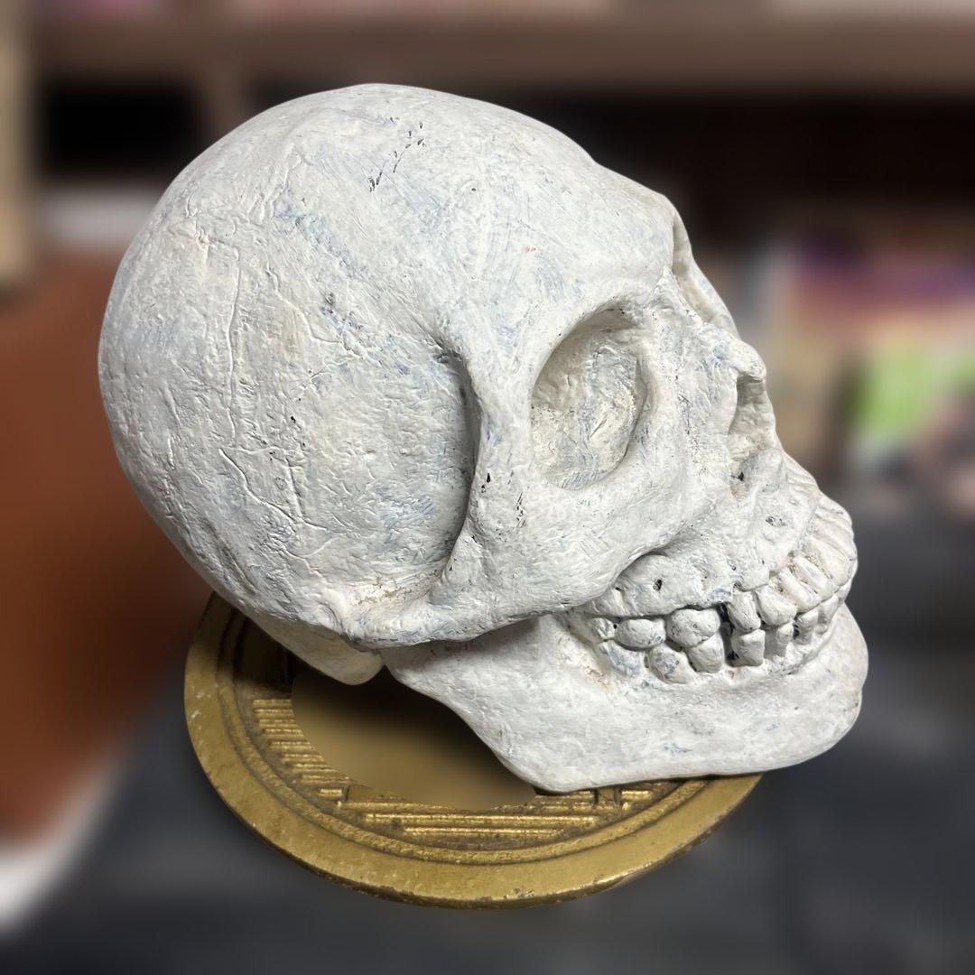 ホワイトスカル（頭蓋骨）