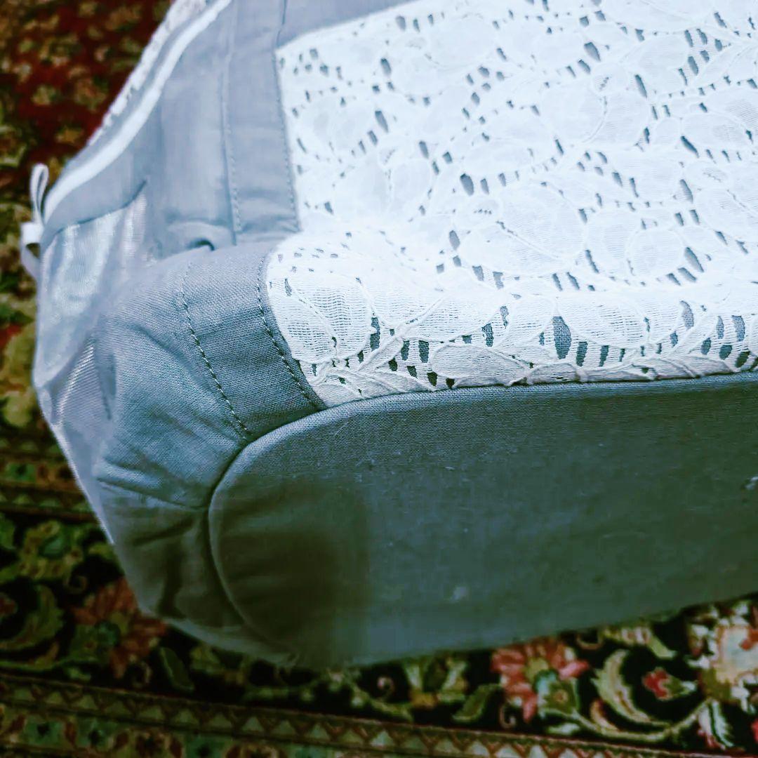 Luxembourg birdie ペット用キャリーL