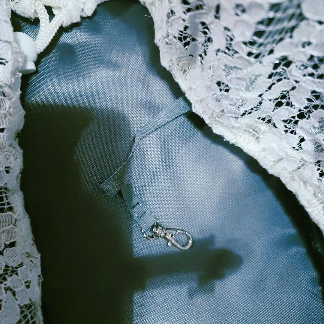 Luxembourg birdie ペット用キャリーL