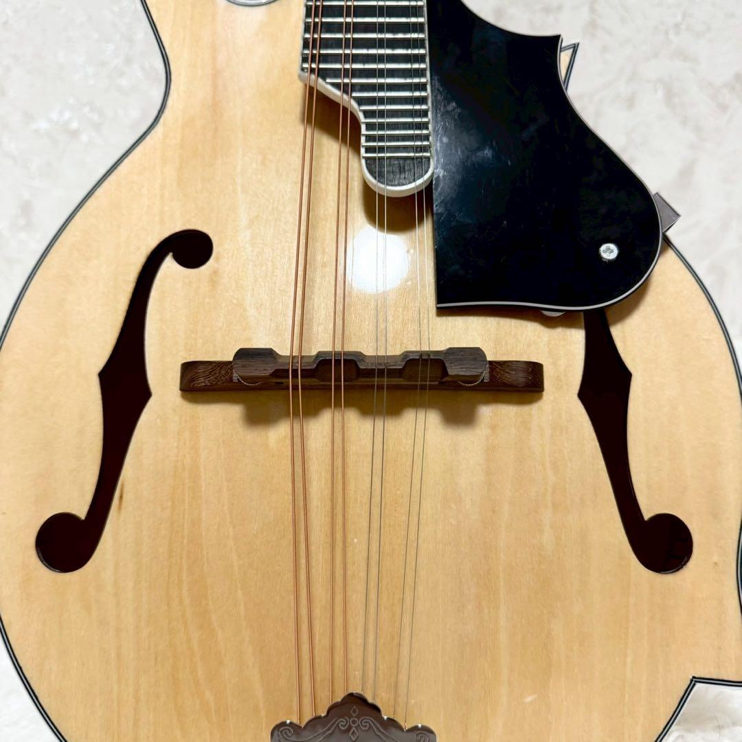 『希少美品』Mylowe フラットマンドリン ハードケース付き