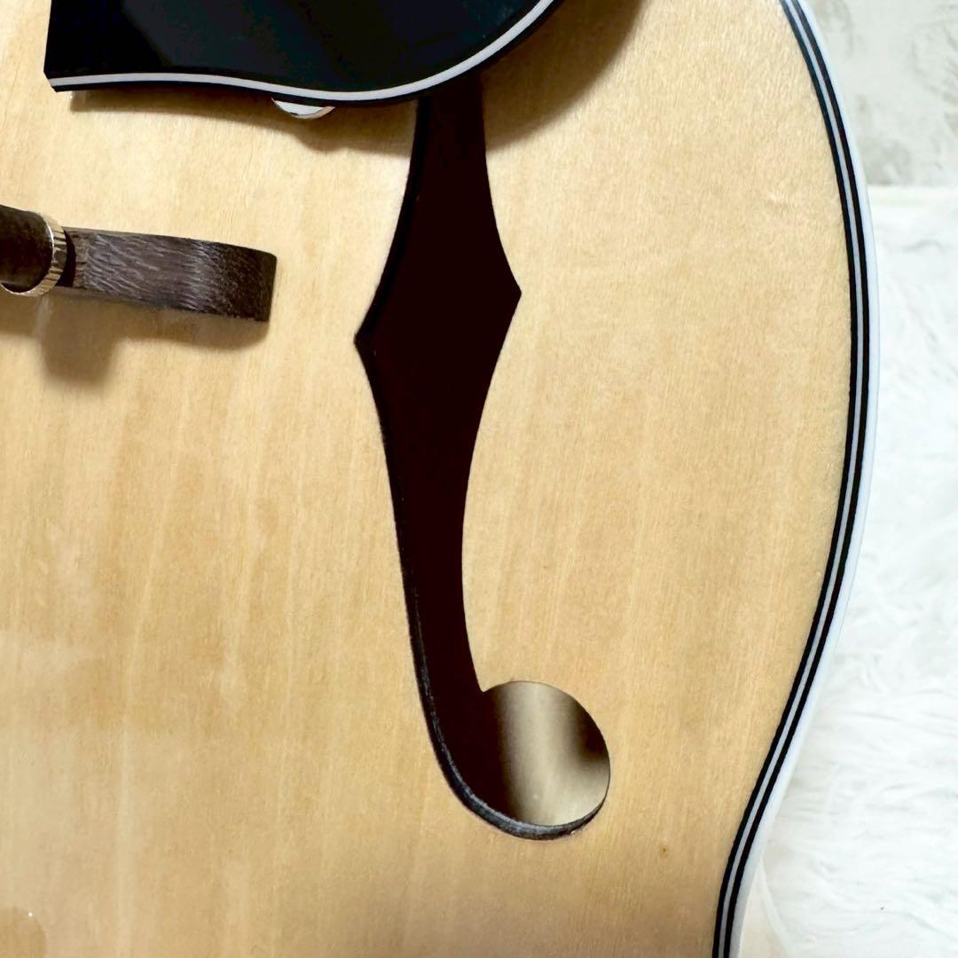 『希少美品』Mylowe フラットマンドリン ハードケース付き