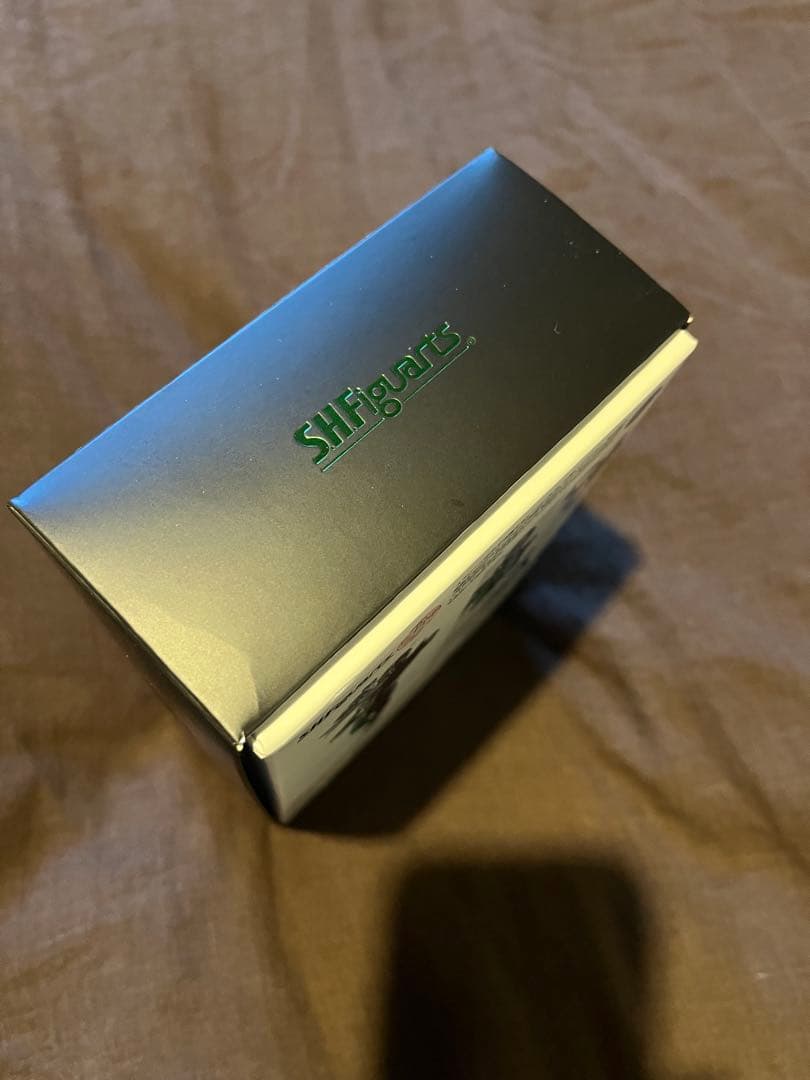 SHFiguarts 真骨彫　仮面ライダーW (ダブル) 風都探偵版