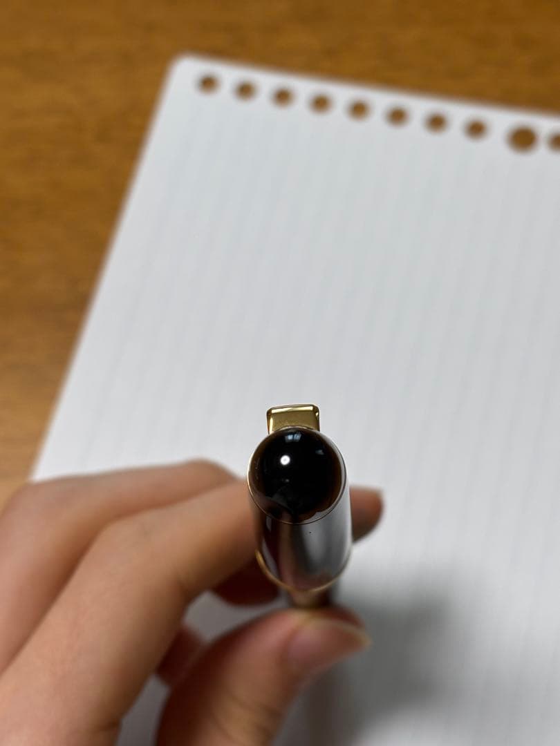 パイロット　カスタム74 中字M コンバーター付き　14K万年筆