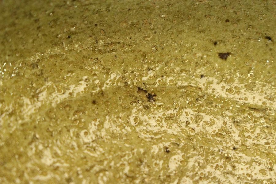 茶道具 平茶碗 数印 桂窯 楽茶碗 共箱(BB472)