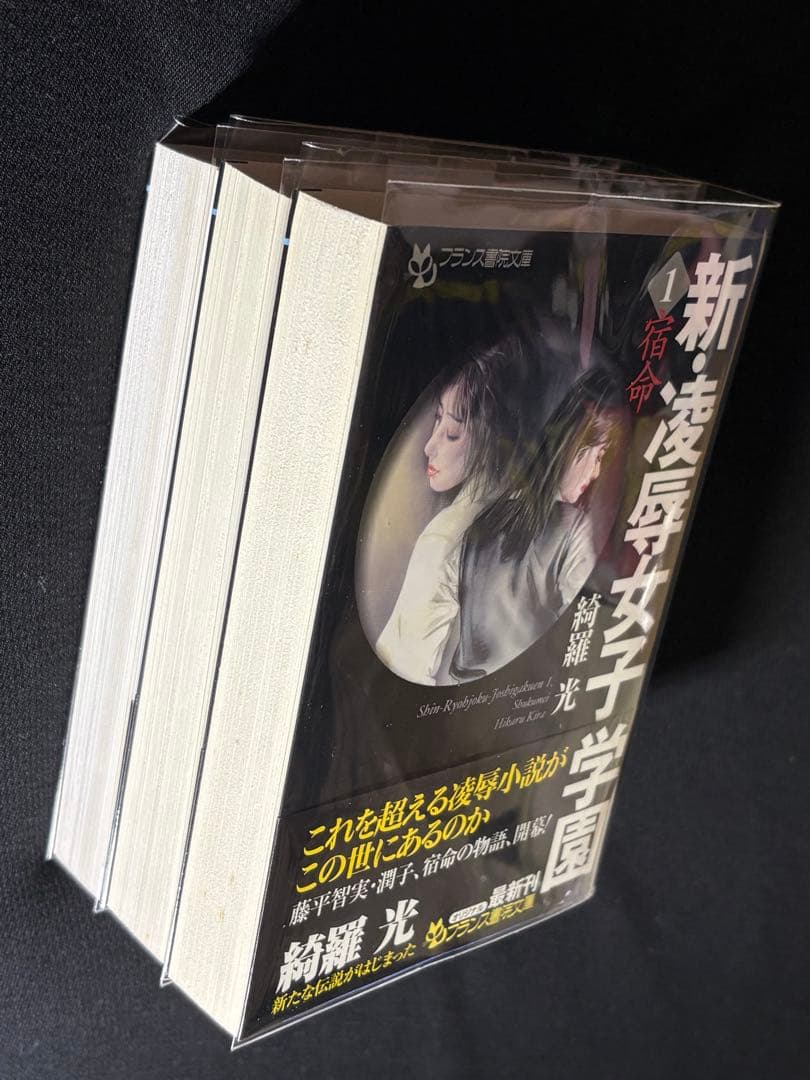 希少【傑作】【初版】凌辱女子学園 全巻セット 綺羅光※人気ランキング１位の傑作