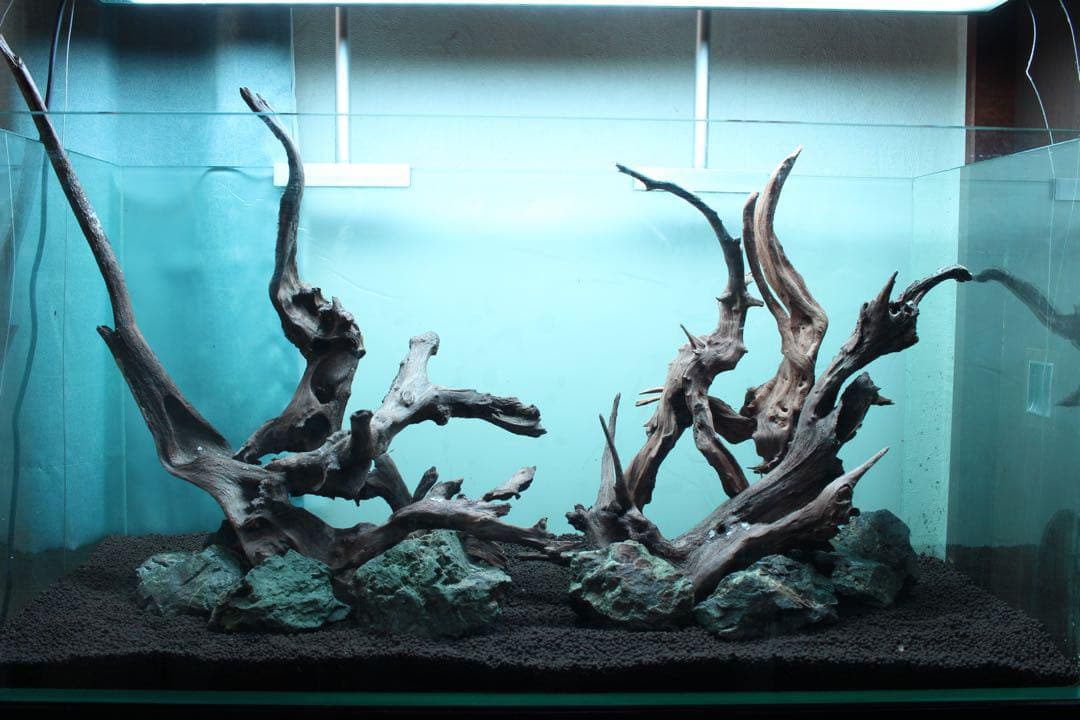 水槽用流木5本+石7個セット アクアリウム