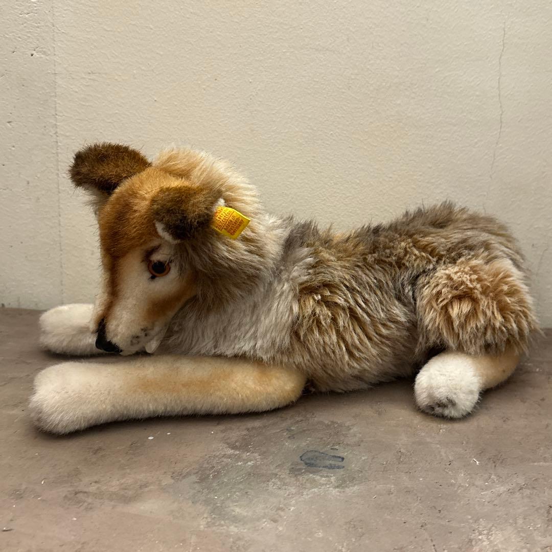 シュタイフ　コリー　オールドシュタイフ