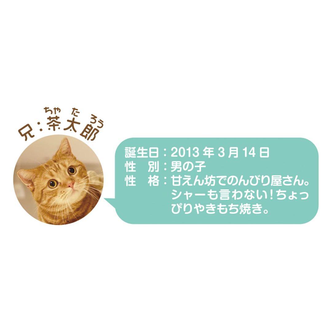 2023年　茶太郎ときなこ　壁掛け　カレンダー