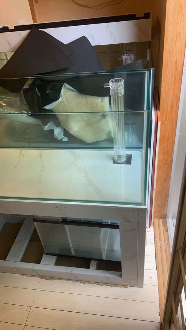 値下げしました‼️⇒オーバーフローKOTOBUKIガラス水槽と台のセット