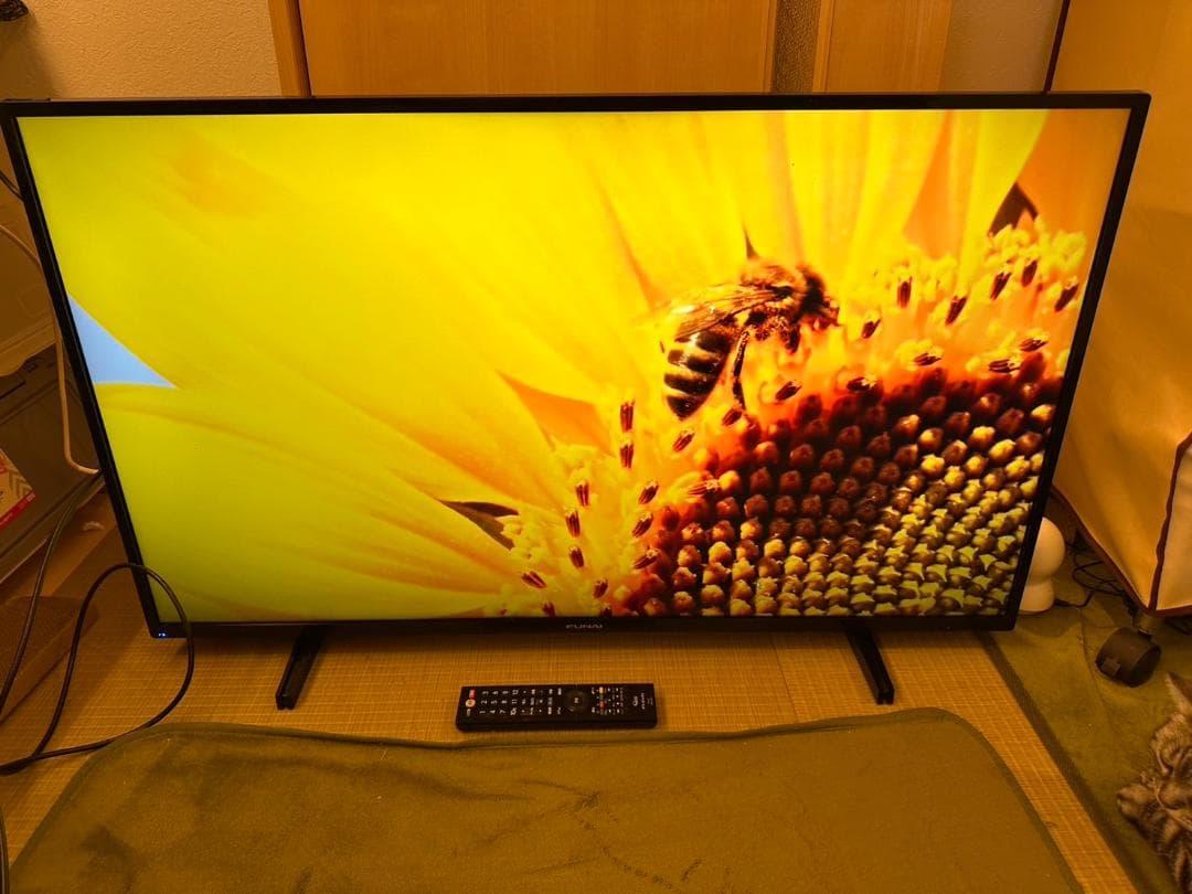 funai フナイ　43型 テレビ FL-43U3130　20年製　4K対応！