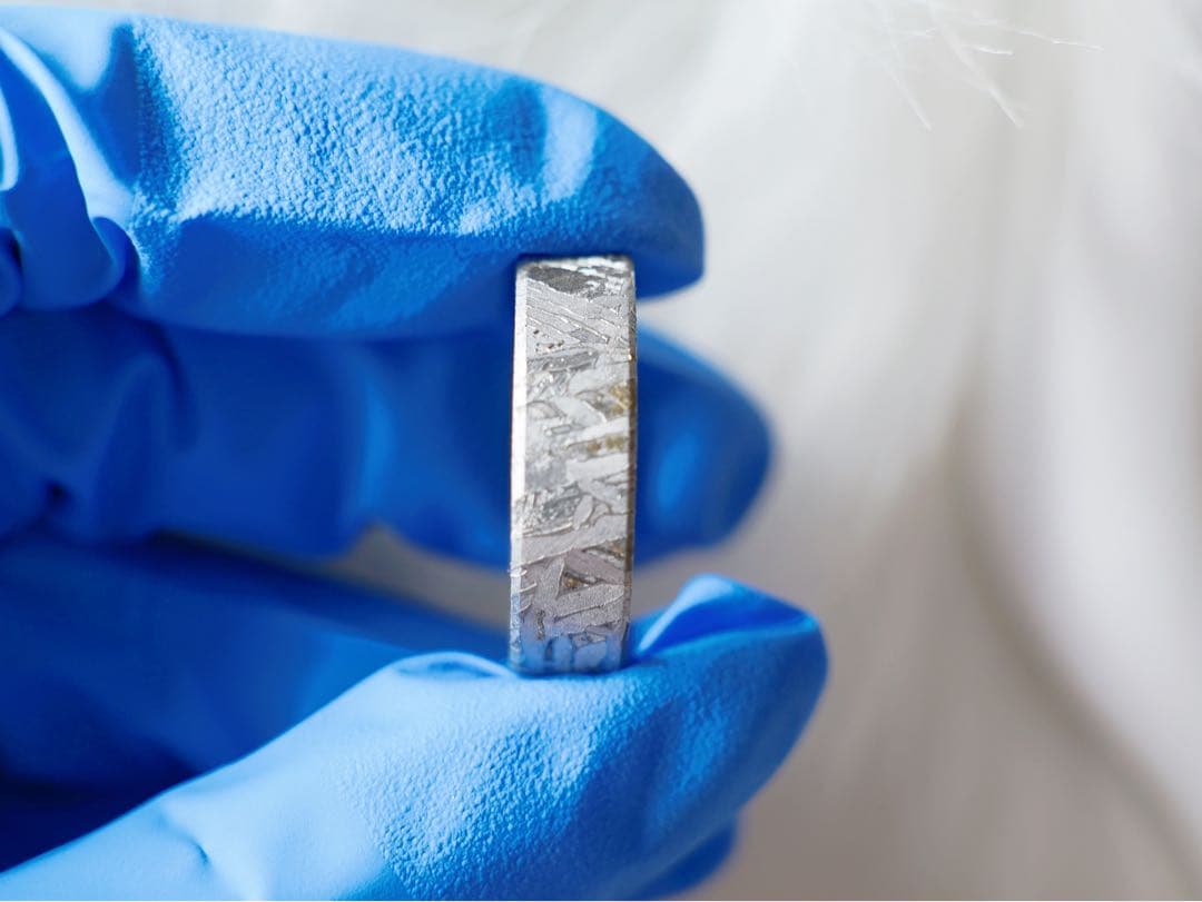 【宇宙の指輪】アルタイ隕石リング 原色　19.0mm ウィドマンシュテッテン模様