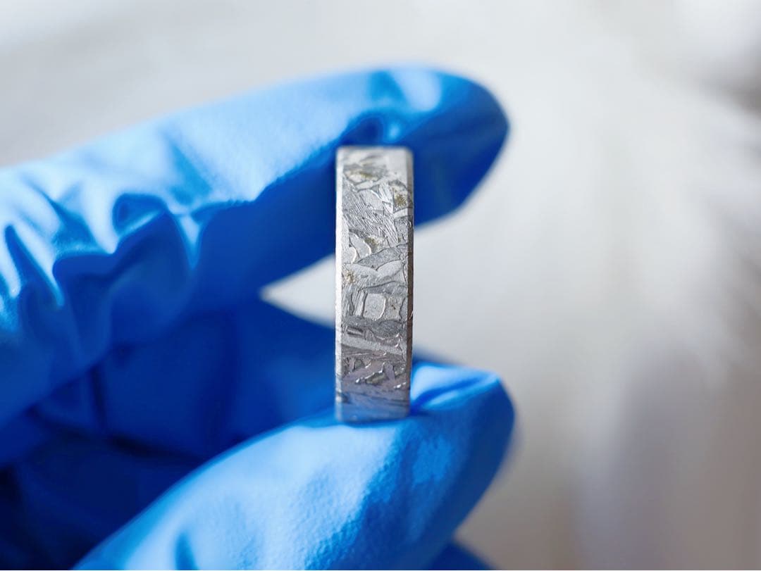 【宇宙の指輪】アルタイ隕石リング 原色　19.0mm ウィドマンシュテッテン模様