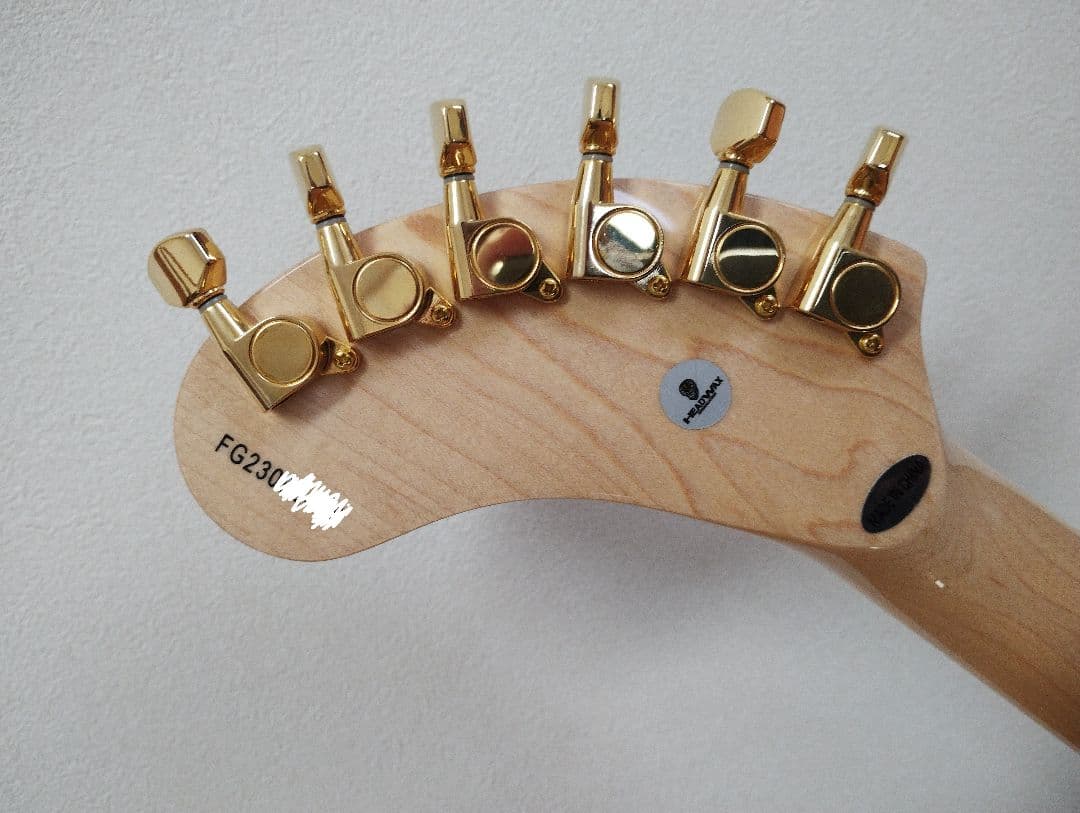 ギター FERNANDES ZO-3 hide PAINT-ZO24