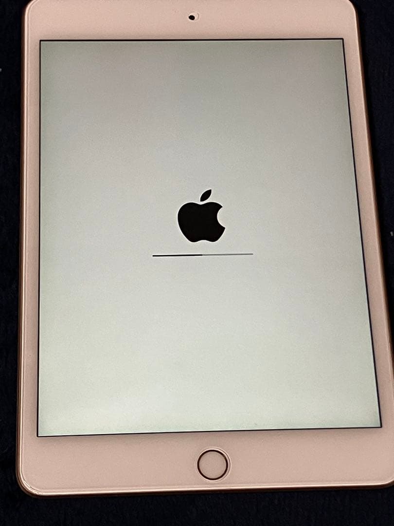 Apple iPad mini (第5世代) 64GB