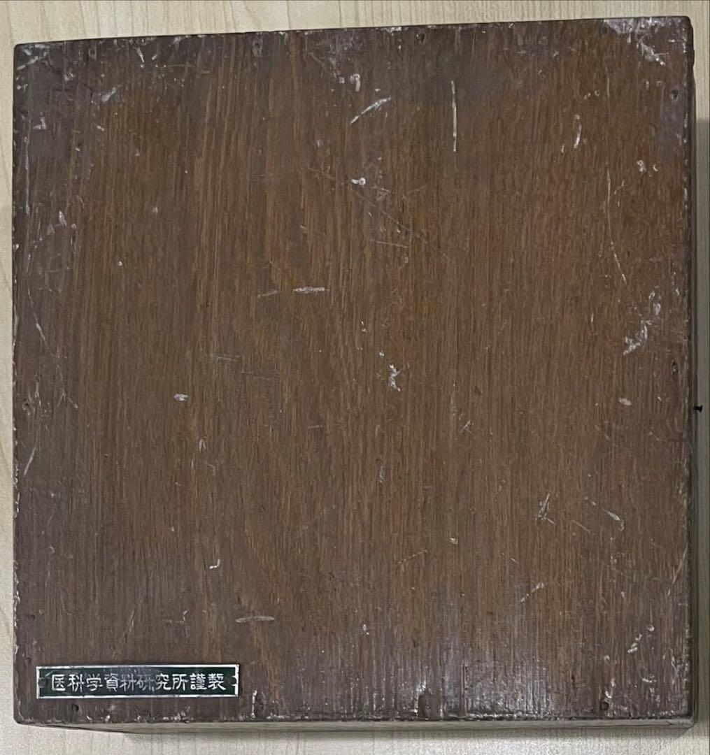 1、医療用 模型 子宮 解剖学的女性生殖器模型 木製ケース入り 送料込みで発送