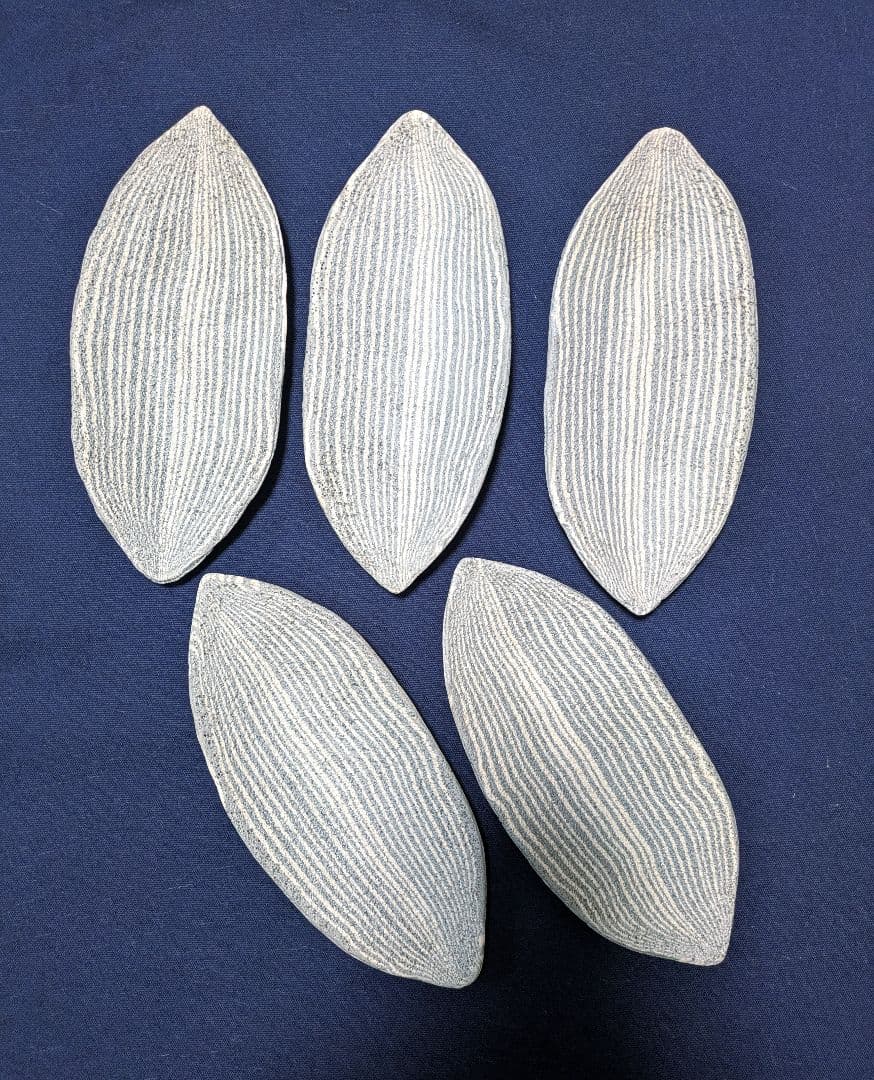 人間国宝【松井康成】造 練上げ嘯裂文葉皿５枚