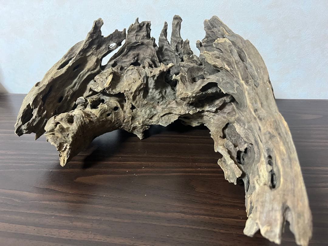 XM-321 流木マシンガンウッド　ブランチウッド　アクアリウム　沈水確認済