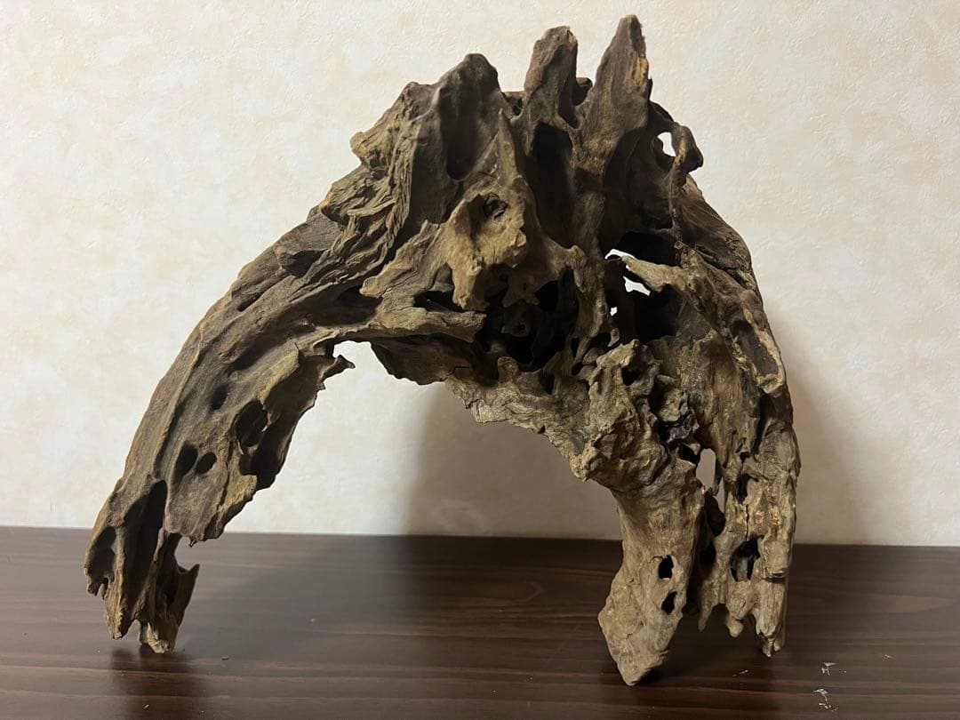 XM-321 流木マシンガンウッド　ブランチウッド　アクアリウム　沈水確認済