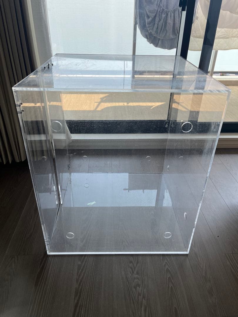 ちぃ　鳥　インコ　アクリルケース　ゲージ