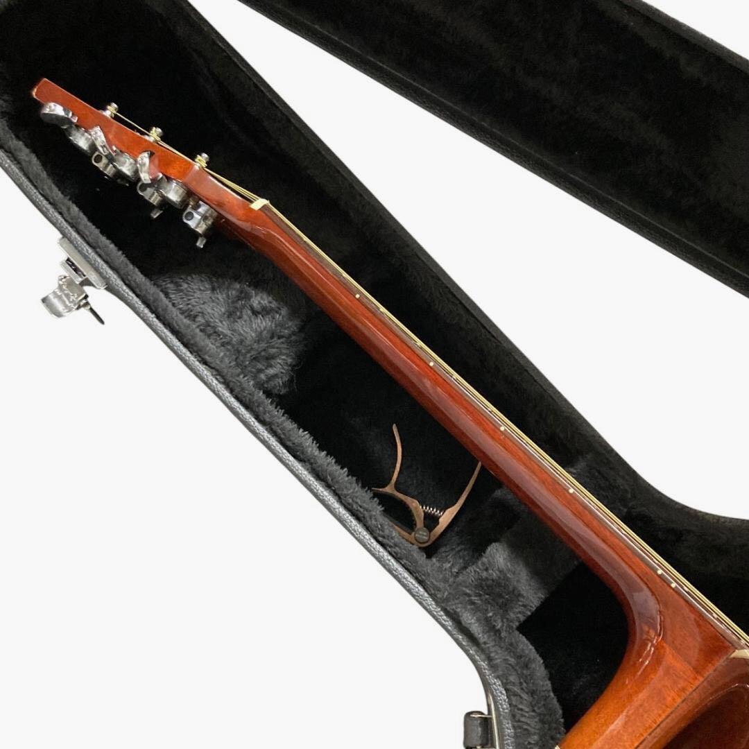 Maurice モーリス アコースティックギター MG601