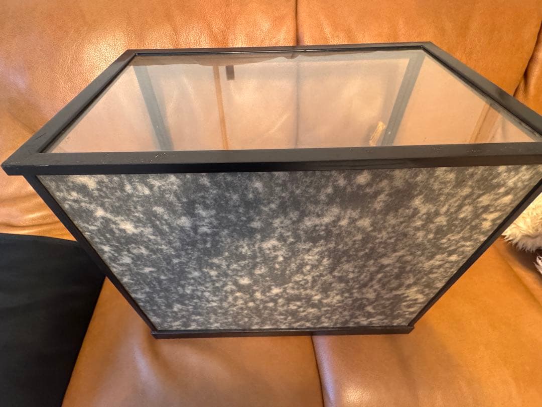 子供の日！五月人形 お祝ケース飾　子供大将 弁慶五條橋　お子様お孫様最終赤字出品