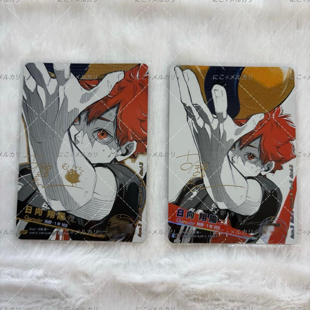 日向翔陽 ハイキュー!! バボカ!! サイン BREAK 極P 極