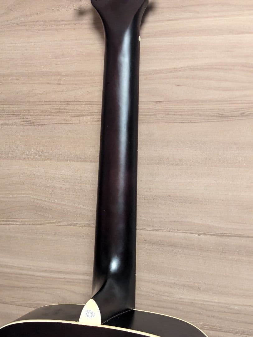 エレアコ Recording King RDS-9-12-FE5-TS 12弦