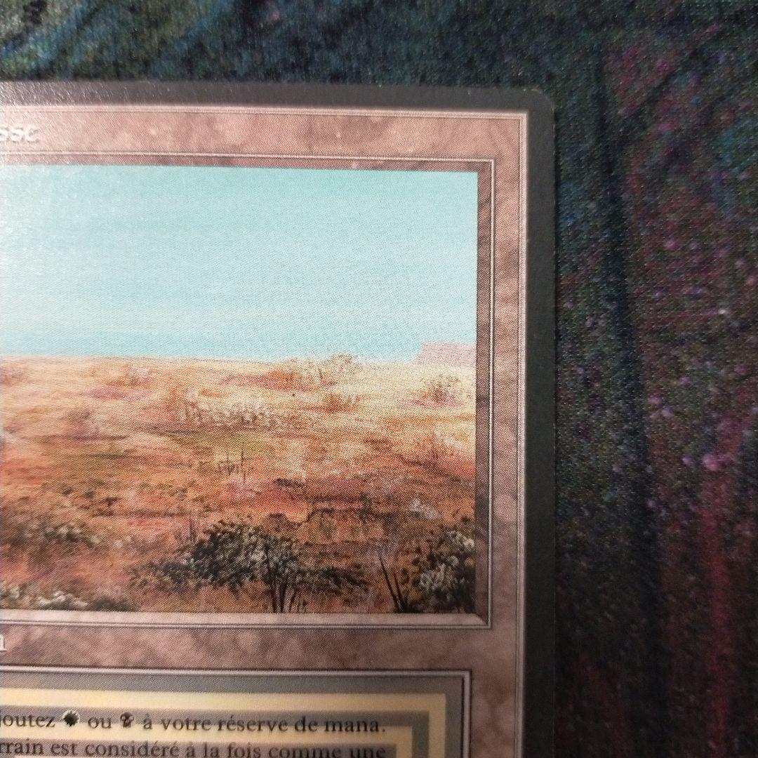 MTG scrubland フランス語版　FBB 黒枠