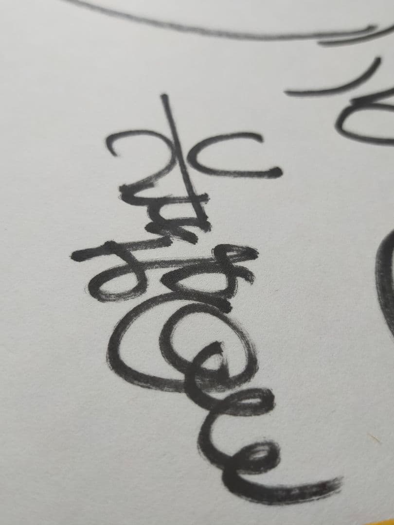 水森亜土さん 直筆 色紙 イラスト サイン