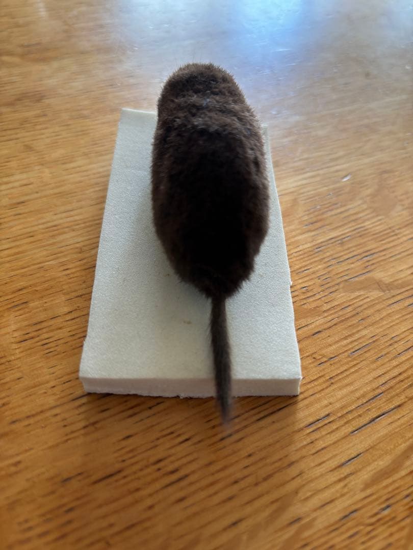 【モグラさま専用】ヒミズ　骨格標本頭骨と剥製