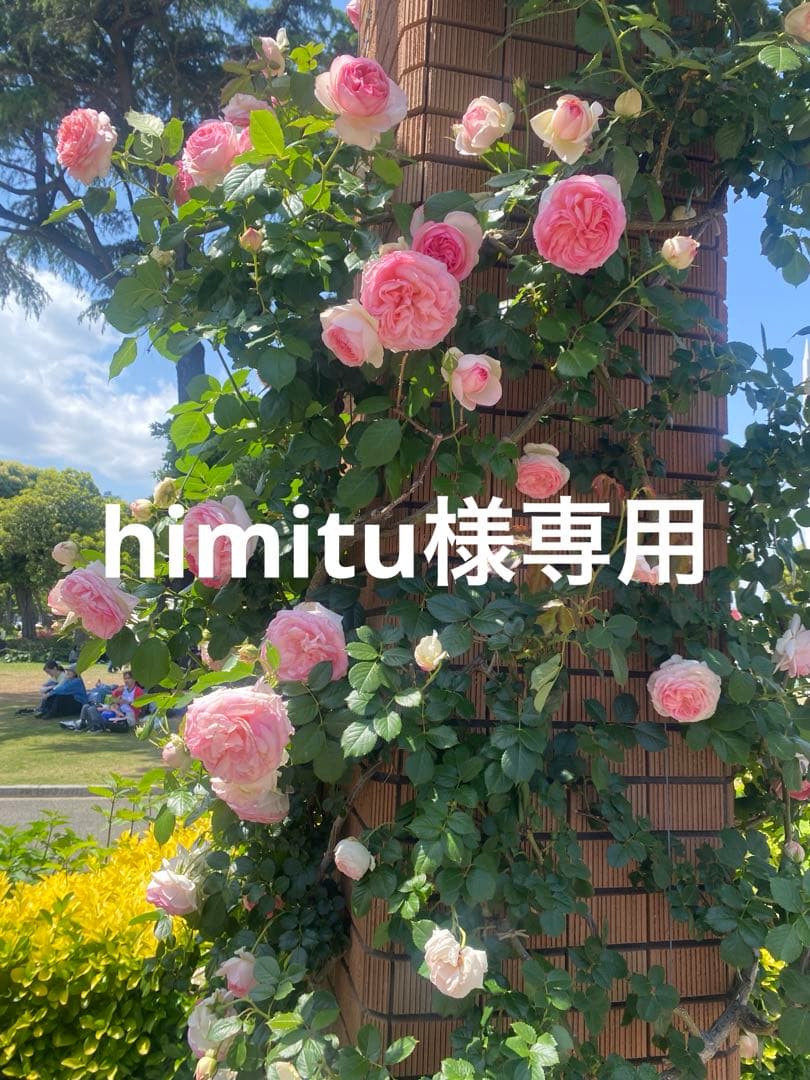 時計 Grand Seiko SBGN013 GMT