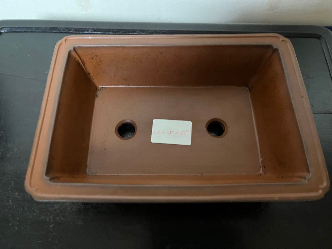 966 盆栽　盆栽鉢　植木鉢　中国鉢