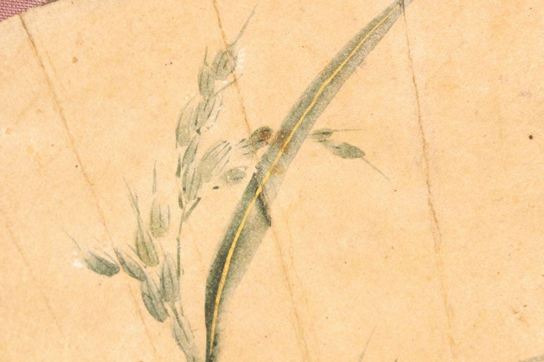 No5265 掛軸　酒井抱一　稲穂図　扇面　紙本着色　陶器軸先　合箱　送料無料