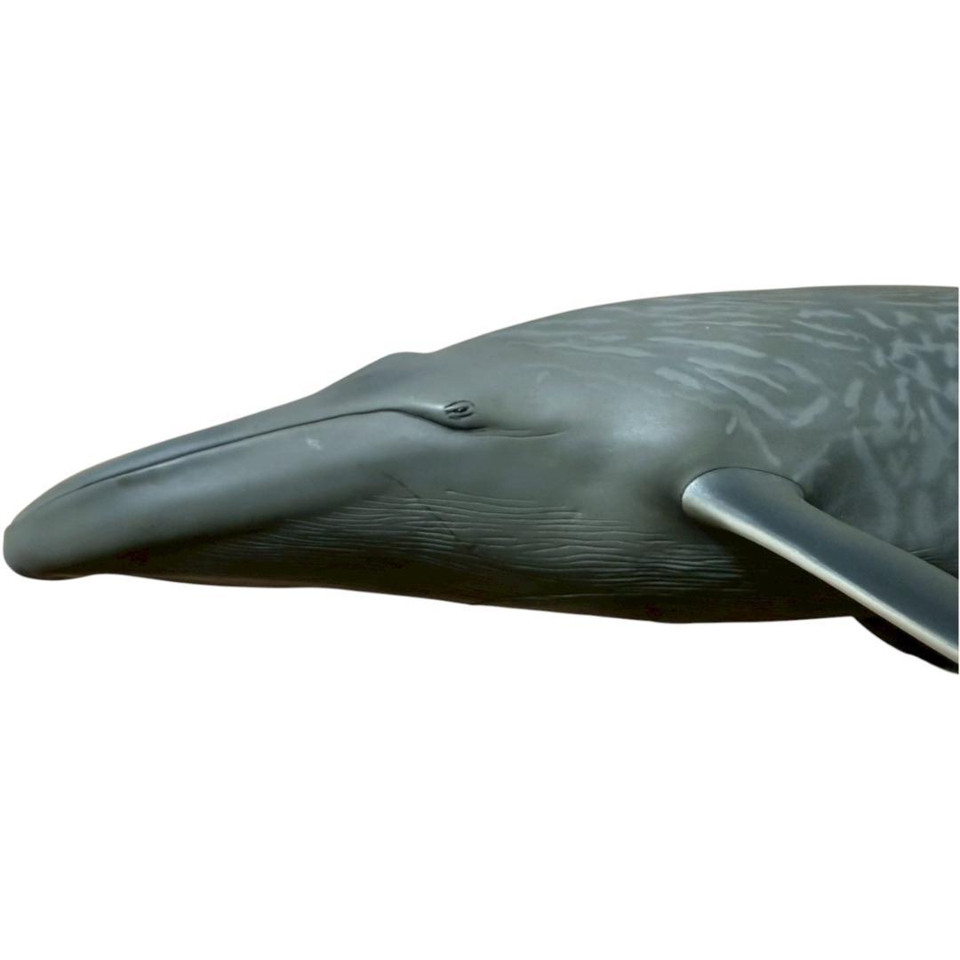 【メガソフビアドバンス】 シロナガスクジラ MSA-004 全長70cm