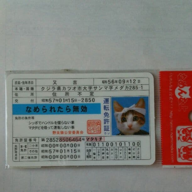 懐かしのなめ猫の免許証です。（未使用）