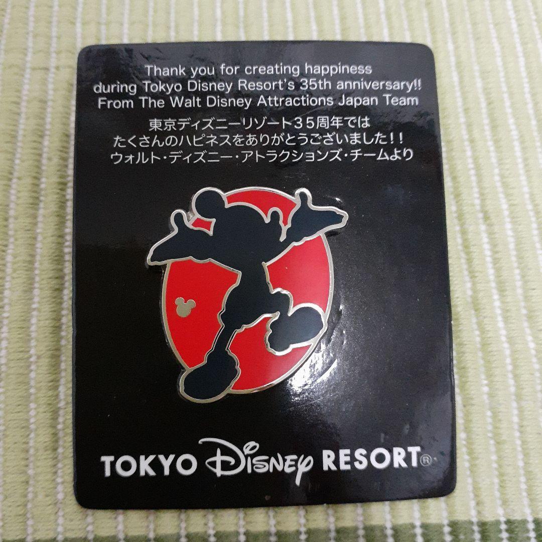 ディズニー　ピンバッジ　35周年　アトラクション　キャスト　ミッキー　限定　レア