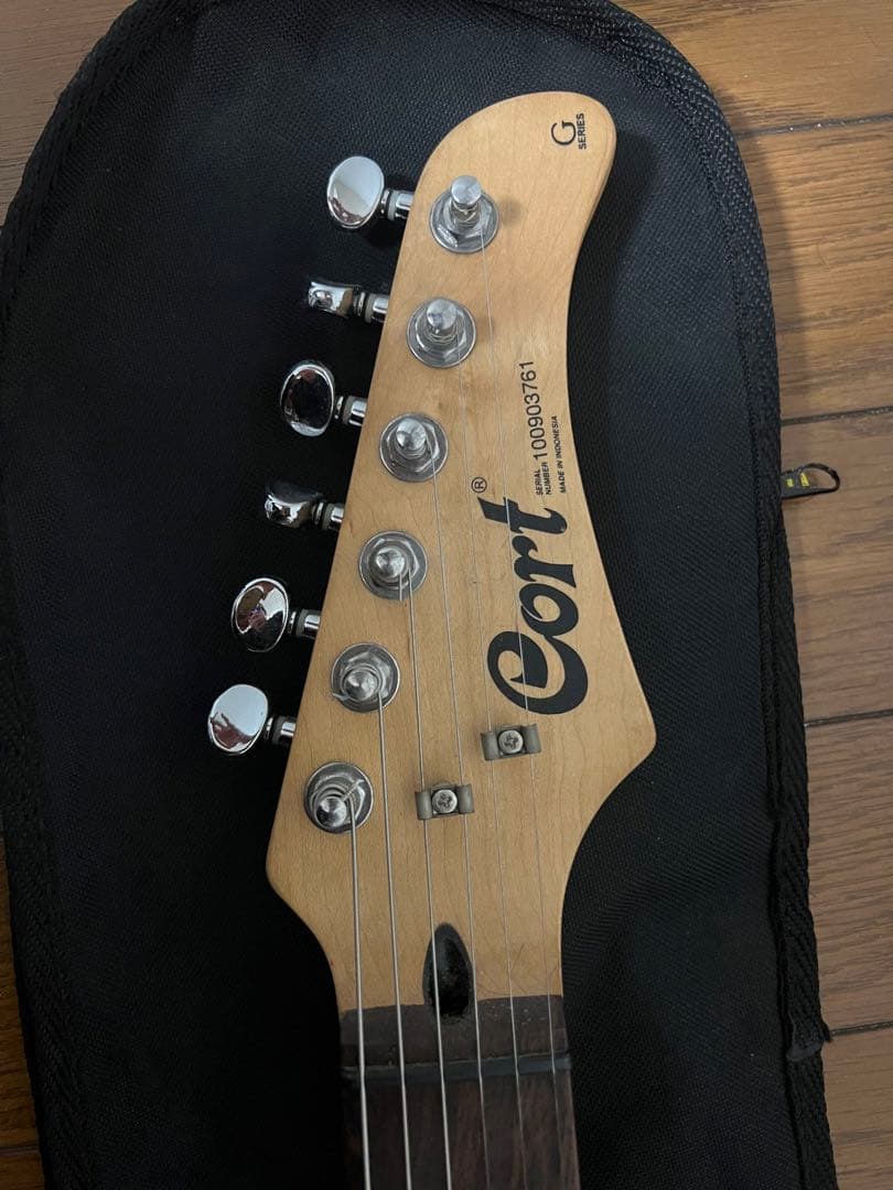 Cort エレキギター ブラック/ホワイト ギターケース付目立った傷などないです