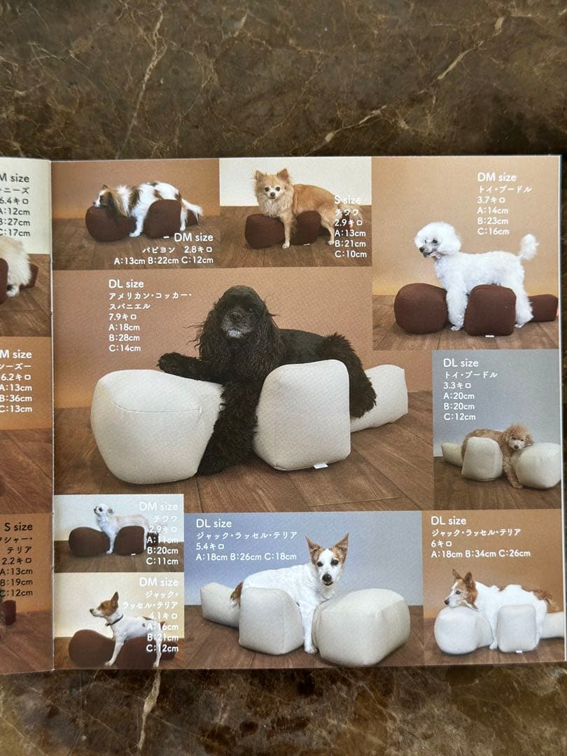 OneAid リラクッション ブラウン　Mサイズ ※専用カバーは付いていません