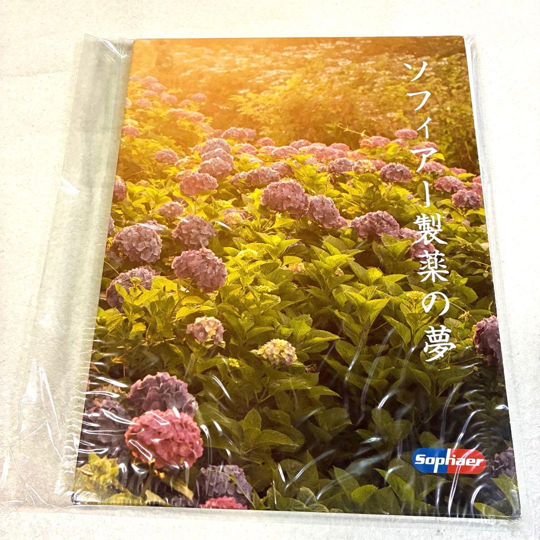 【おまとめ】SOPHIA ツアーパンフレット 写真集 ポストカードブック